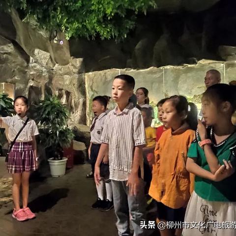 深度探索：揭秘奇趣博物馆航海图的获得之道，让你的冒险旅程更加丰富多彩