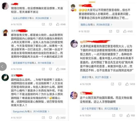 围绕《野火流明》的价值观争议：现代审美眼光与传统道德观念的冲突和协商